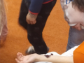 1702021513336