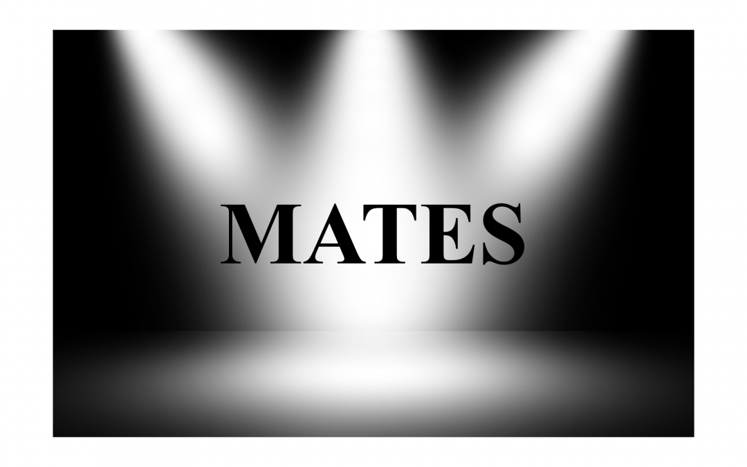 MATES uspěl na Multimediálním dni v Brně!